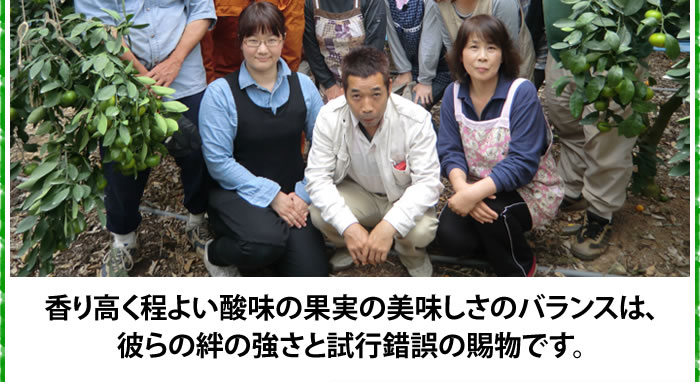 生産者の皆さん