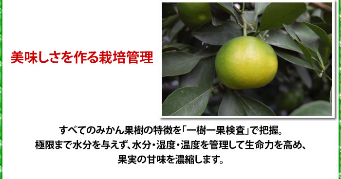 生産者のこだわり