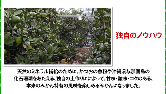 生産者のこだわり