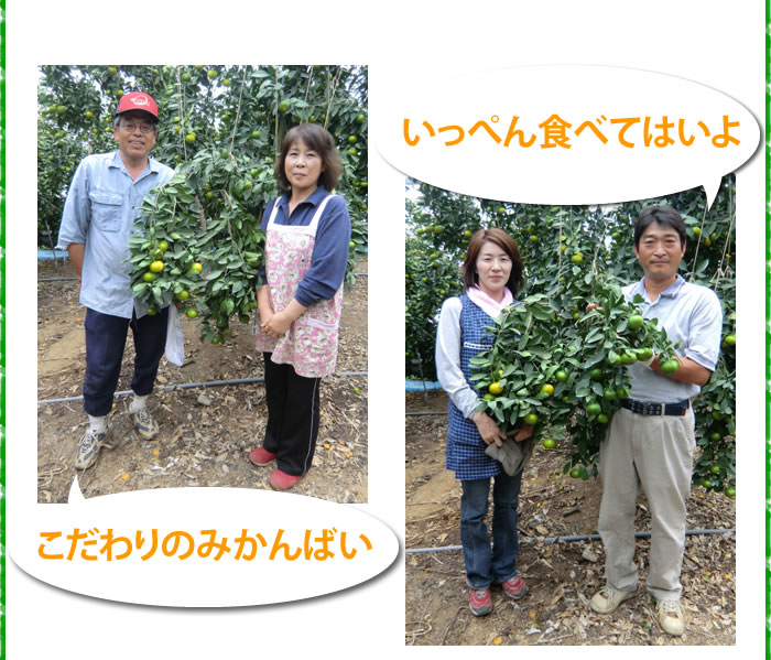 生産者の皆さん