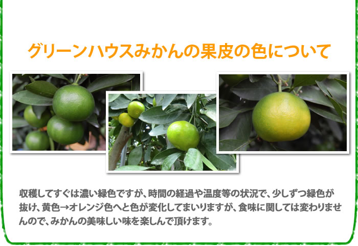 生産者のこだわり