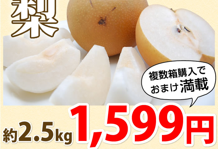 2.5kg 1599円