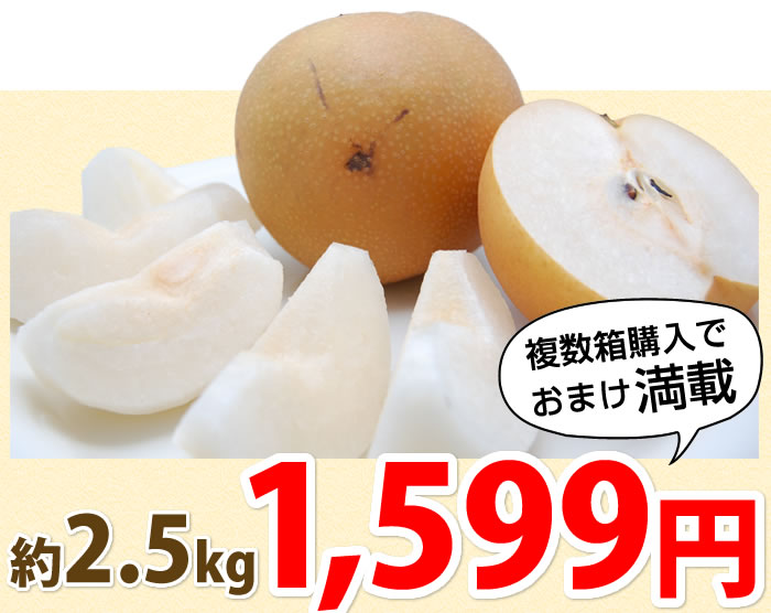 2.5kg 1599円