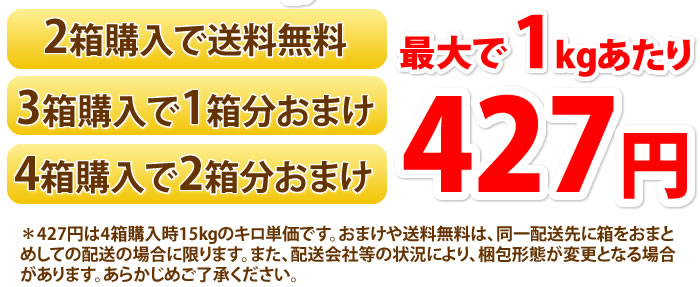 複数購入でおまけ有り