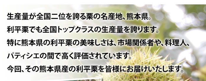 熊本県産