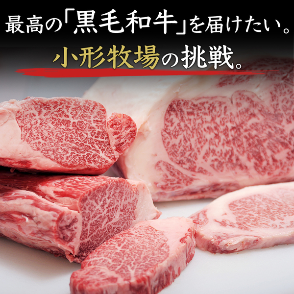 【送料無料】前沢牛焼肉 霜降り・赤身食べ比べセット｜ふるさとお