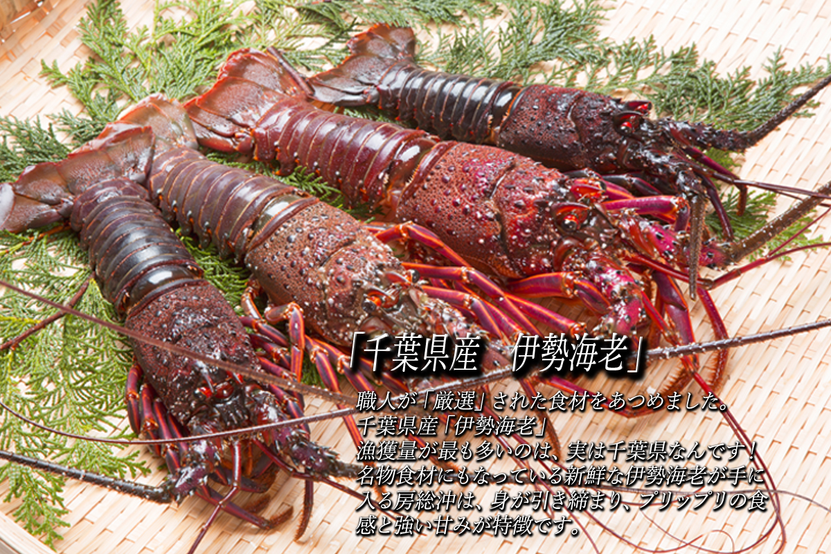 送料無料 伊勢海老の干物づくし 半身 セット Gotuo ごっつお の通販 お取り寄せなら ぐるすぐり 送料無料 伊勢海老の干物づくし 半身 セット Gotuo ごっつお の通販 お取り寄せなら ぐるすぐり
