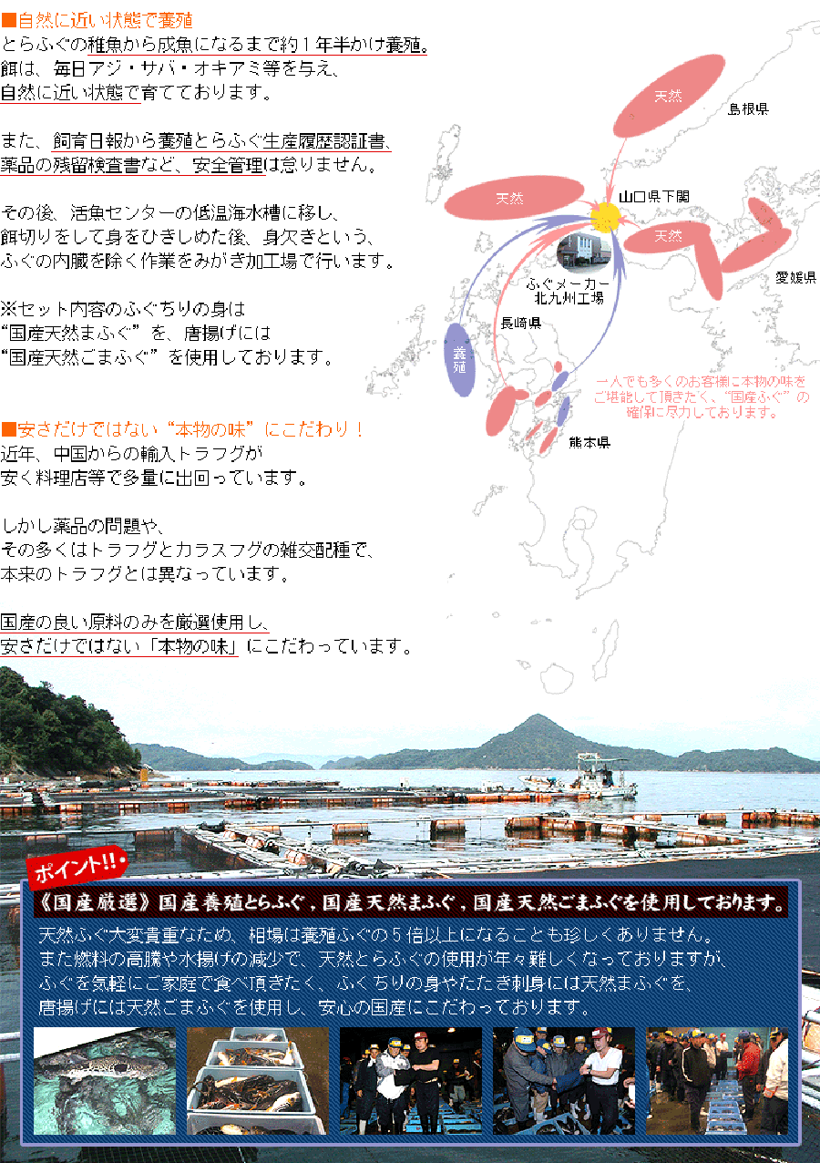 国産厳選 ふぐちり鍋セット 約3人前 送料無料 ちり身 アラ ふぐ フグ 河豚 ふぐ鍋 鍋 ますよね 越前かに問屋 ますよねの通販 お取り寄せなら ぐるすぐり