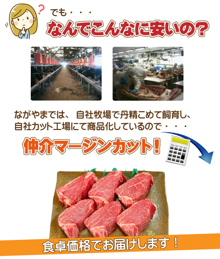 宮崎牛モモステーキ1枚約100ｇ｜肉のながやまの通販・お取り寄せなら ...