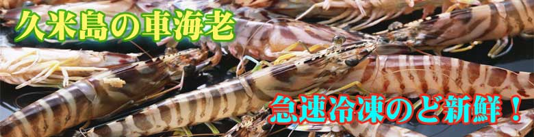 久米島の車海老