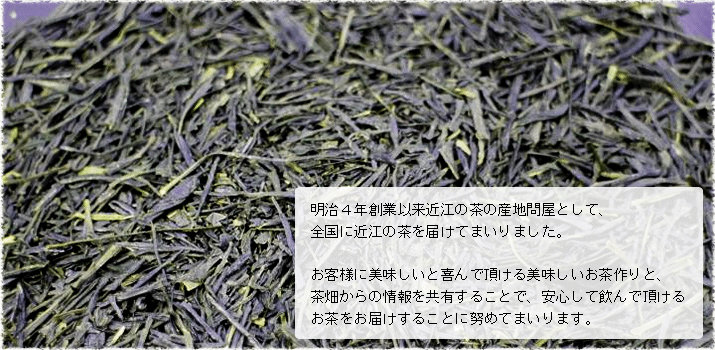 土山茶