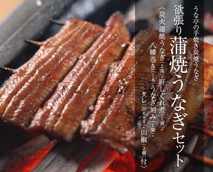 欲張り炭焼き蒲焼うなぎセット