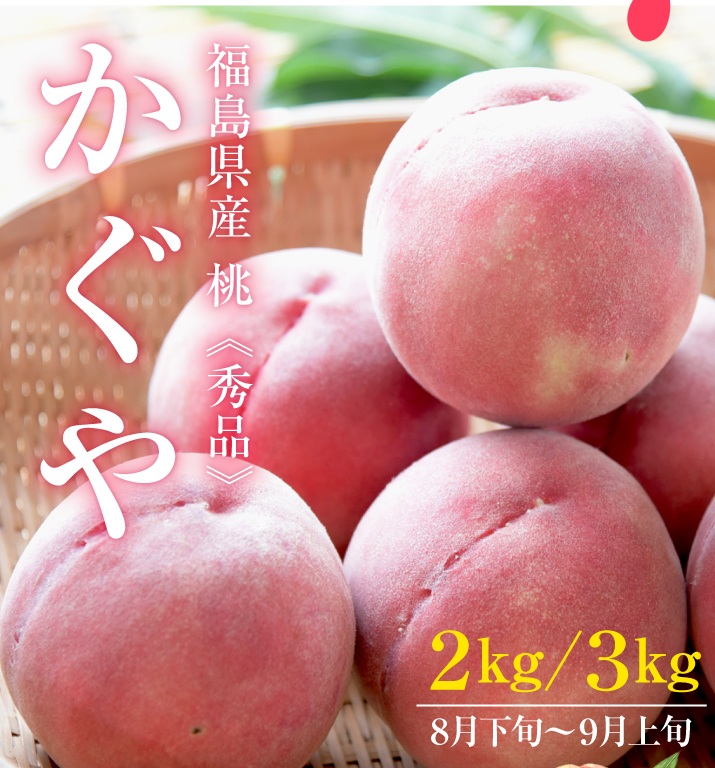福島県産はなよめ（白桃）12玉2.6kg（3036-390）