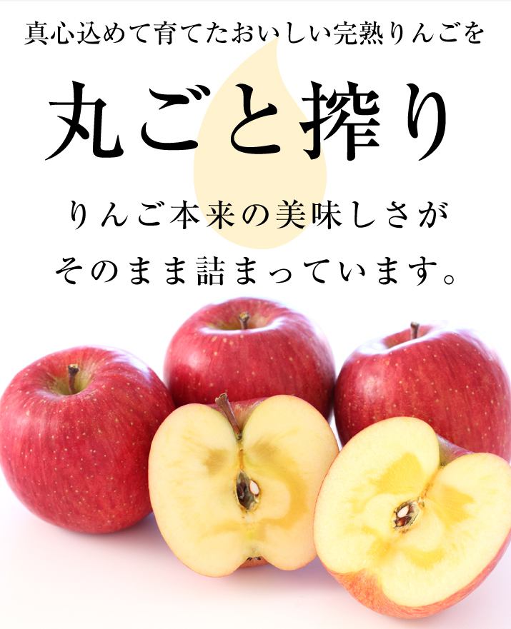 信州（長野県）小布施産 りんごジュース 果汁100％ 1,000ml×２本 
