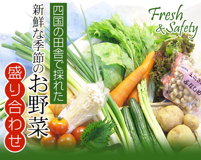 四国の田舎で採れた新鮮な季節のお野菜盛り合わせ