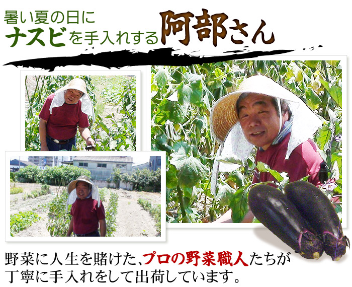 ナスビを作る阿部さん