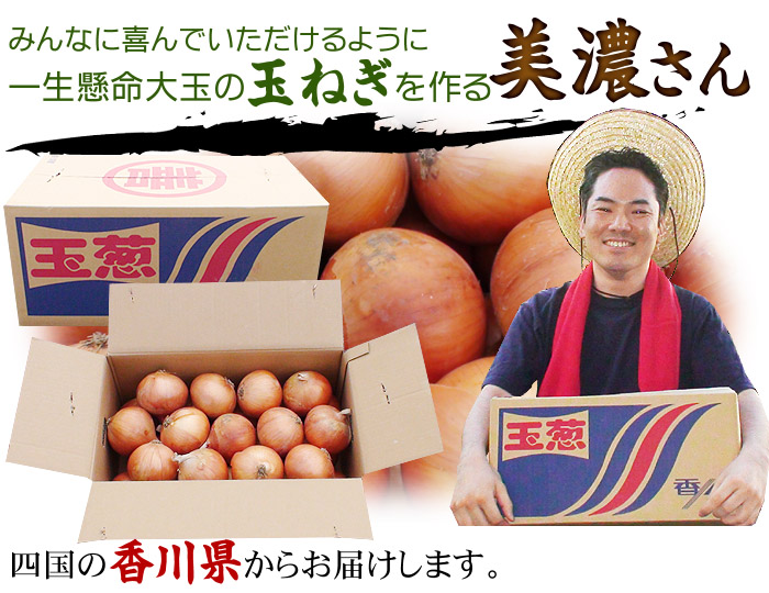 玉ねぎを作る美濃さん
