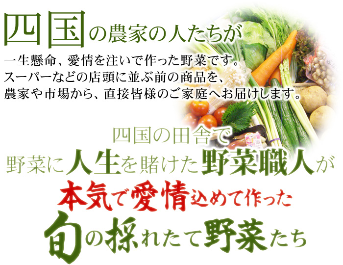 野菜に人生を賭けた野菜職人が本気で愛情込めて作った旬の採れたて野菜たち