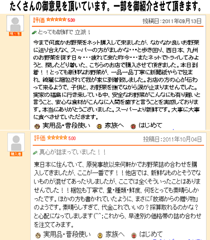 レビュー