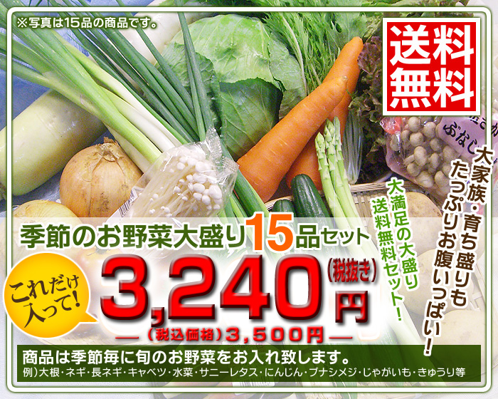 15品3000円セット