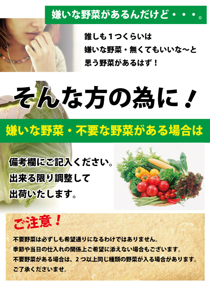 ラインナップ