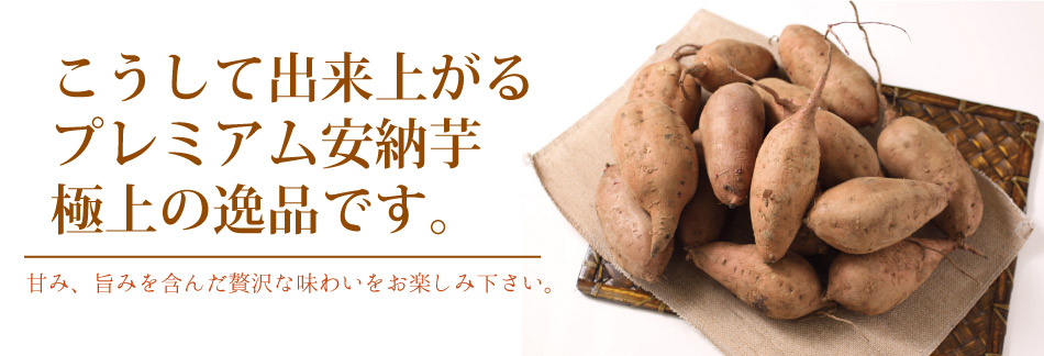 安納芋