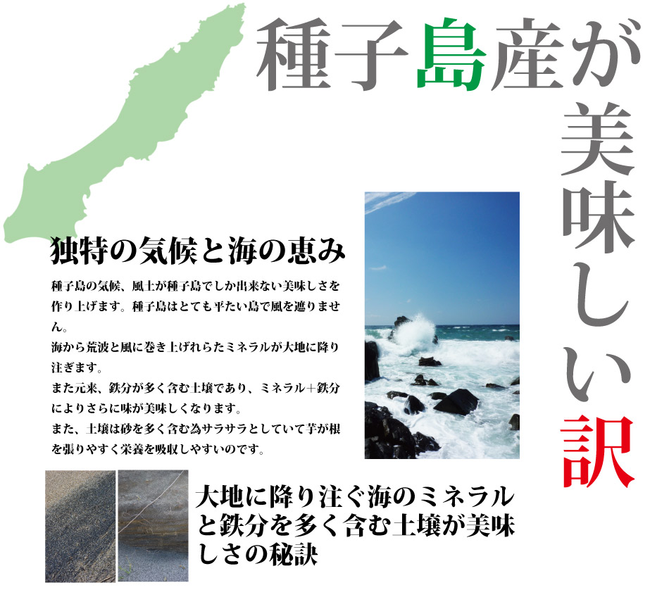 安納芋