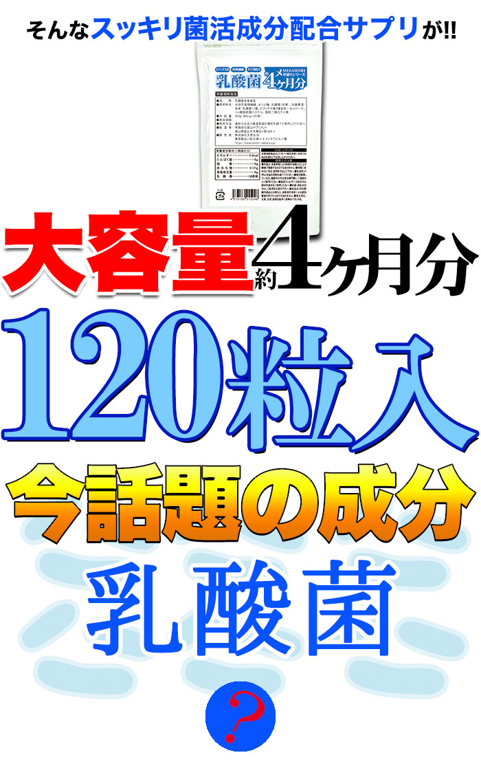 メガ盛り☆乳酸菌サプリメントどっさり約4ヶ月分送料無料/メール便｜北海道とれたて本舗の通販・お取り寄せなら【ぐるすぐり】