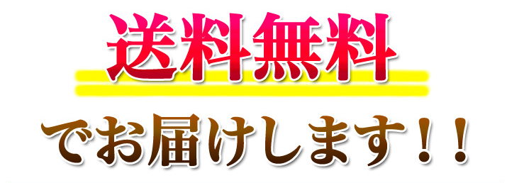 送料無料