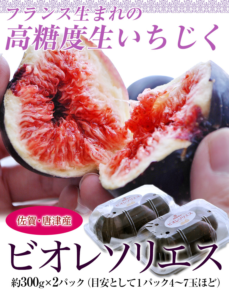 【冬越し済】イチジク ビオレソリエス 2年生苗 幻の黒いちじく2本セット いちじく イチジク 黒いちじく ビオレソリエス 佐賀県産 約300g×2
