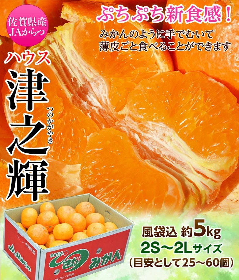津之輝（つのかがやき） 佐賀県産 JAからつ 2S〜2Lサイズ 約5kg 産地箱