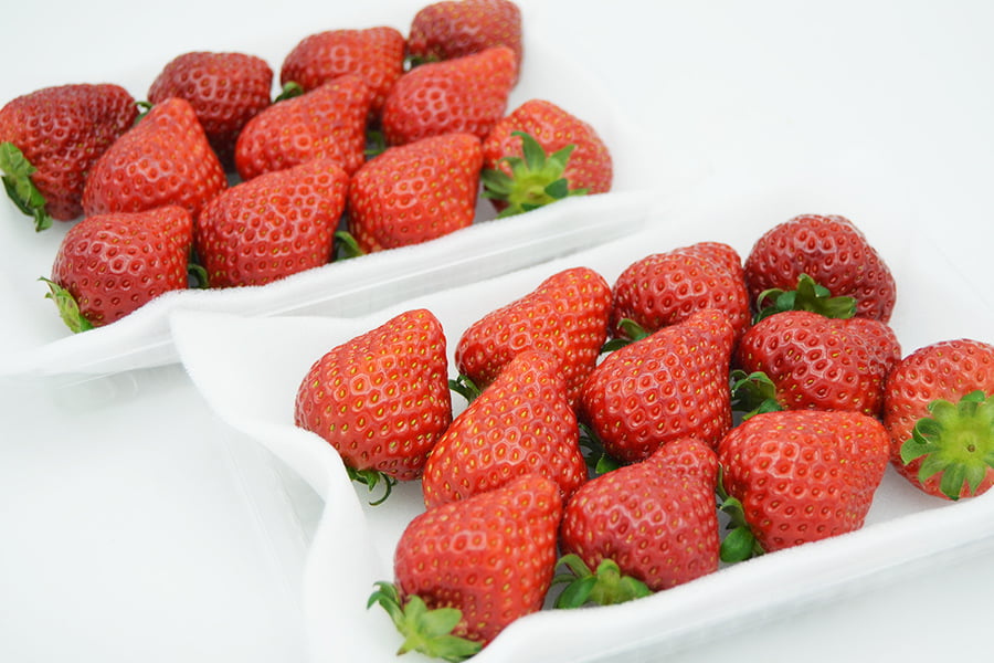 山形県東根市産いちご姫