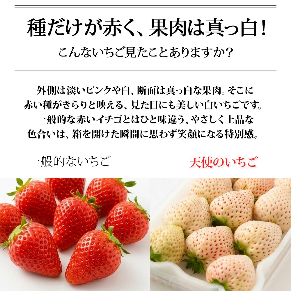 天使のいちご(約270g×2パック)