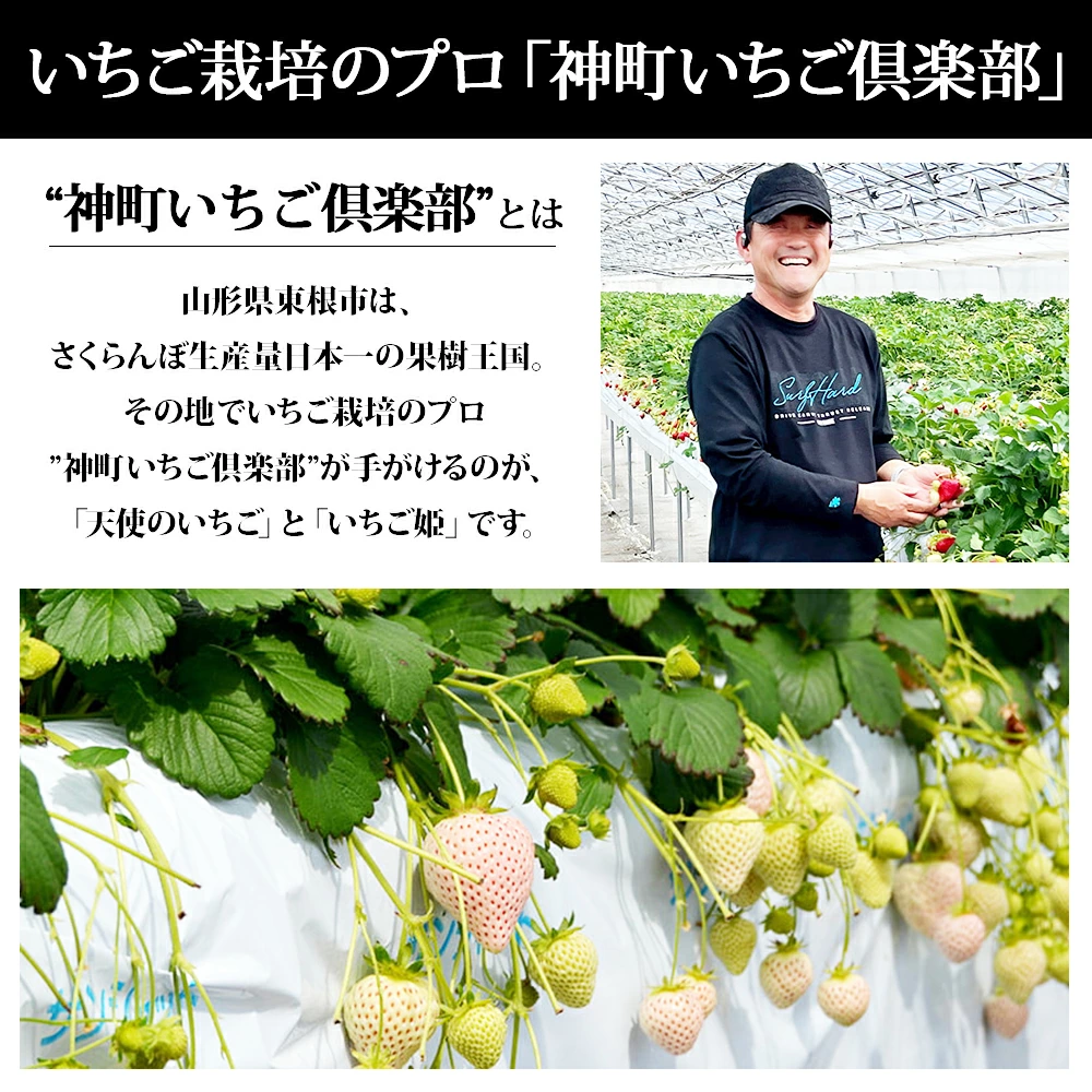 天使のいちご(約270g×2パック)