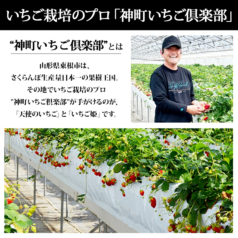 天使のいちごといちご姫 紅白詰め合わせ(約270g×2パック)