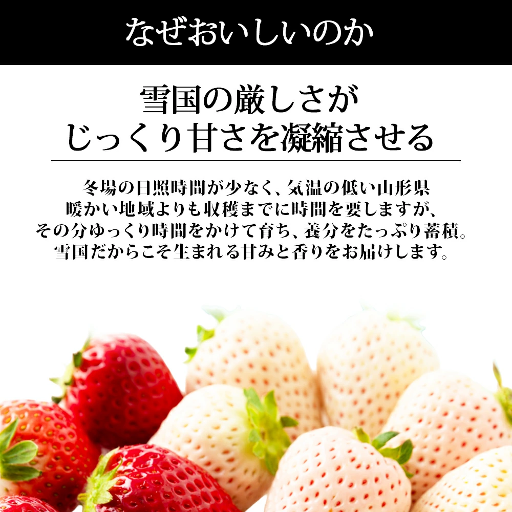 天使のいちごといちご姫 紅白詰め合わせ(約270g×2パック)