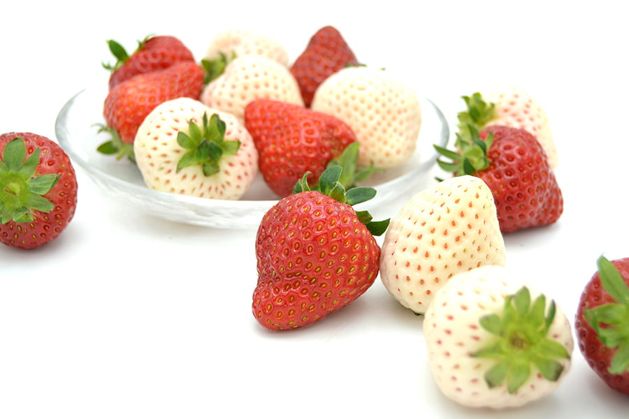 天使のいちごといちご姫 紅白詰め合わせ