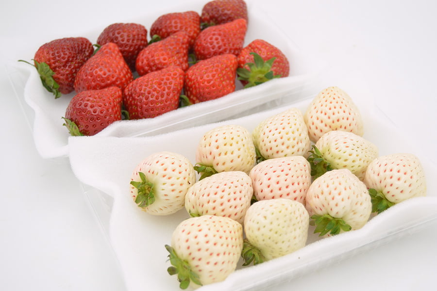 天使のいちごといちご姫 紅白詰め合わせ