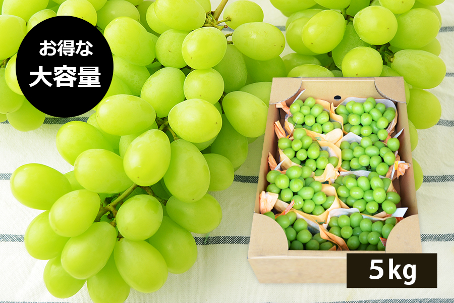 山形県産ぶどうシャインマスカット約5kg(6～9房)