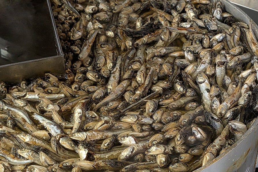 二代目高橋商店