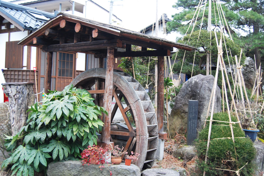 酒井製麺所/特製年越しそば