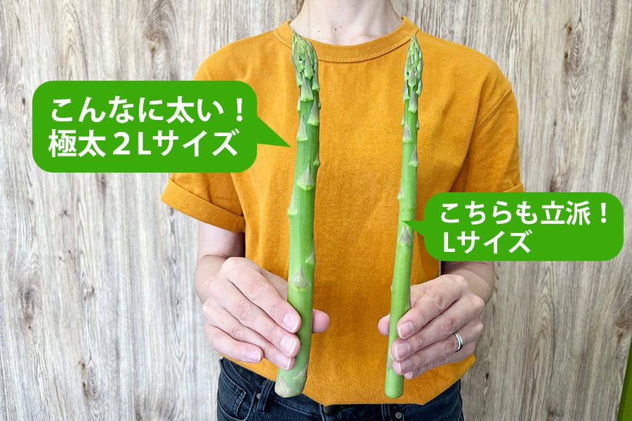 山形の極太アスパラガス