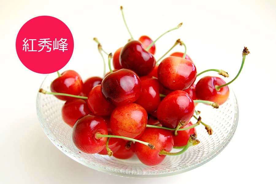 さくらんぼのワクワク収穫便 品種おまかせ500gバラ詰