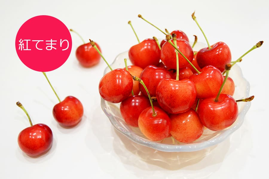 さくらんぼのワクワク収穫便 品種おまかせ500gバラ詰