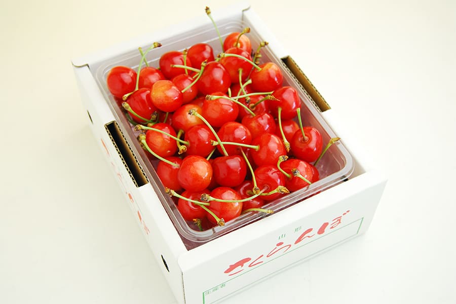 さくらんぼのワクワク収穫便 品種おまかせ500gバラ詰