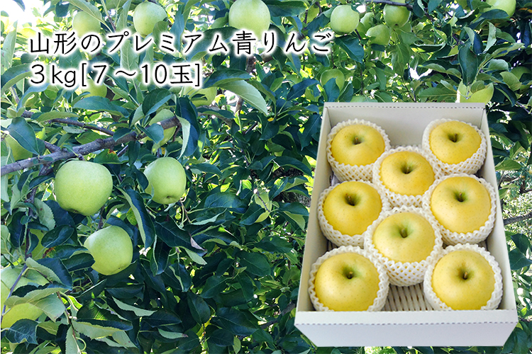 プレミアム青りんご約3kg 7 10玉 化粧箱入 山形うまいずの通販 お取り寄せなら ぐるすぐり