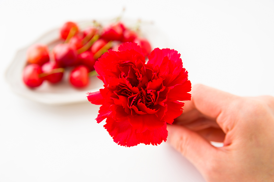 【母の日ギフト】さくらんぼ佐藤錦200g[生カーネーション付]