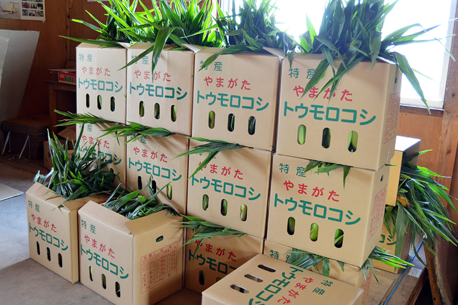 編集後記