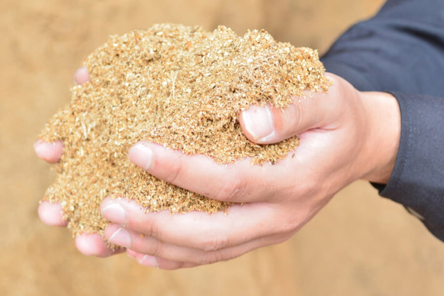 最上まいたけ／コクうま舞茸