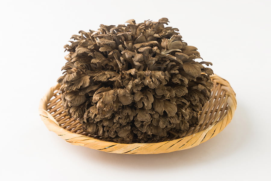 最上まいたけ／コクうま舞茸